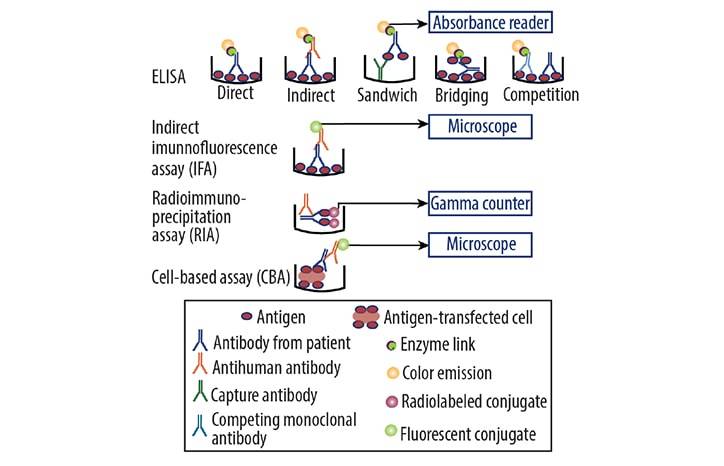 Utility of Autoantibody Profiles