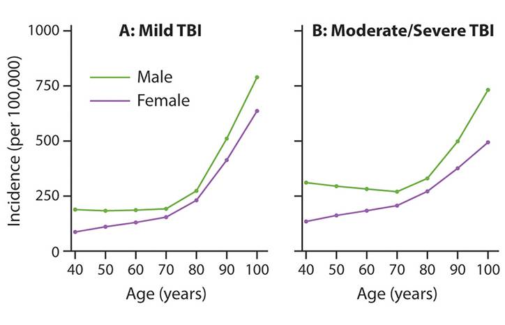 Traumatic Brain Injury in Older Adults Epidemiology Management Outcomes