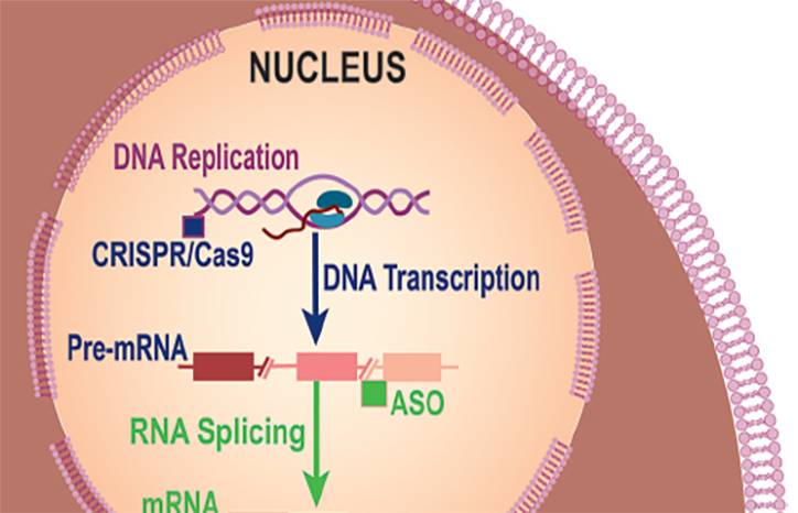 Clinical Trials for Huntington Disease