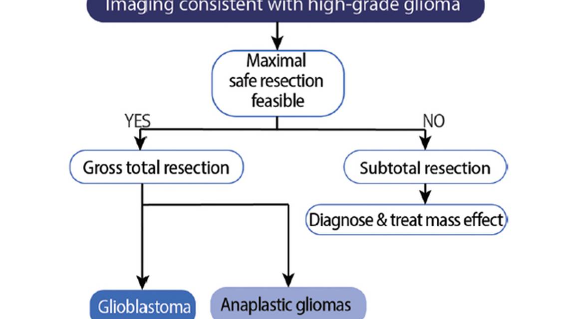 Special Report Neuro oncology