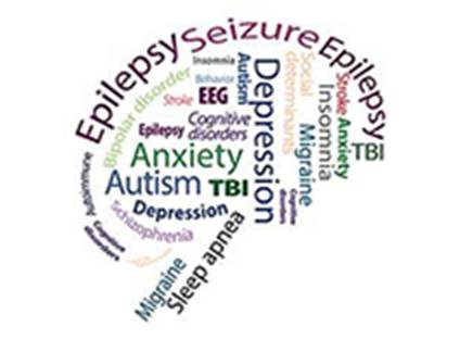 Epilepsy and Autism