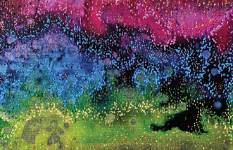 About the Cover Artist