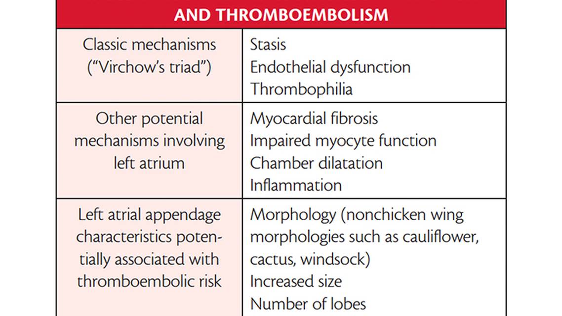 Atrial Cardiopathy and Stroke