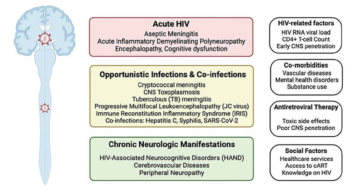 An Overview of Neurologic Complications of HIV and Opportunistic Infections