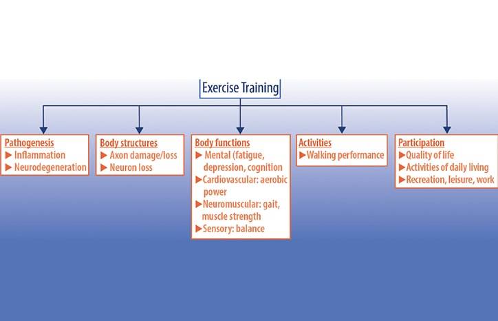 Multiple Sclerosis Minute Physical Activity and MS