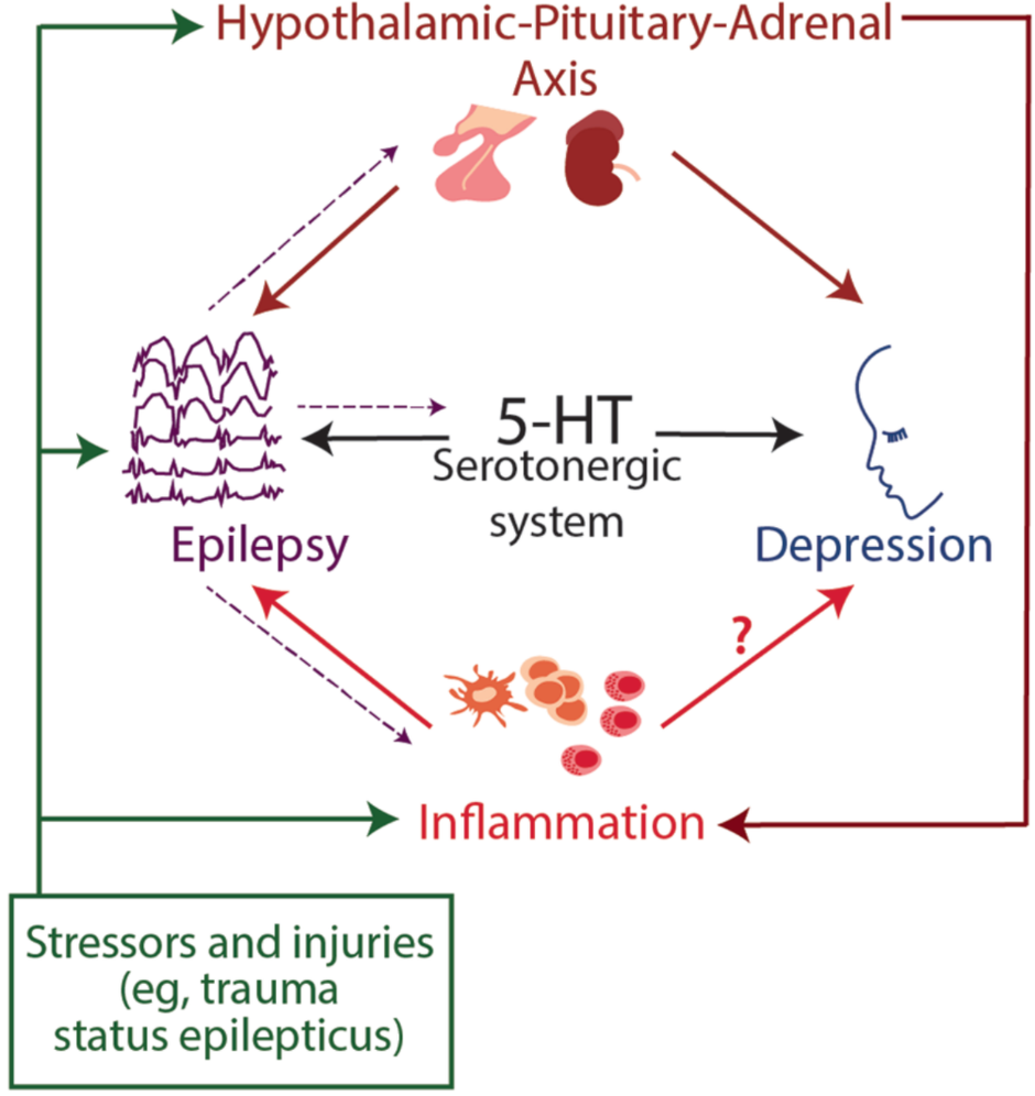 Epilepsy and Depression