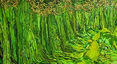 Epilepsy Essentials Physical Activity and Epilepsy