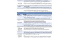 The Whole Physician Ten Action Items to Combat Peer to Peer and Institutional Racial Bias in Medicine