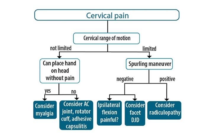 Telemedicine for Pain and Headache