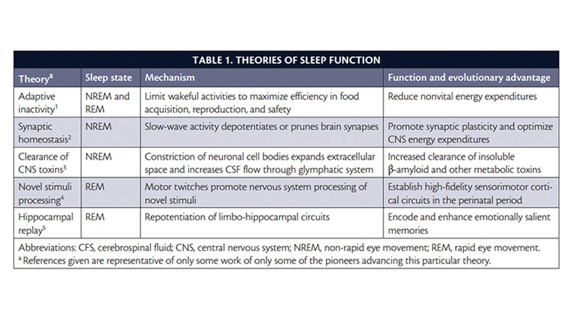 Sleep and Medical Training