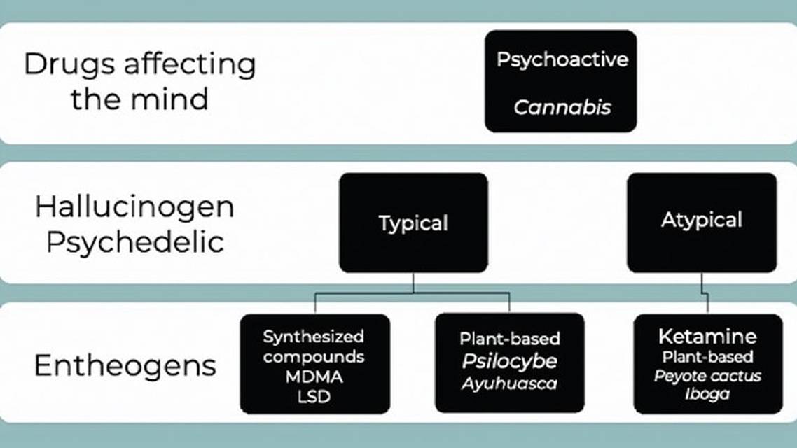 Cannabinoids and Psychedelics for Headache Management