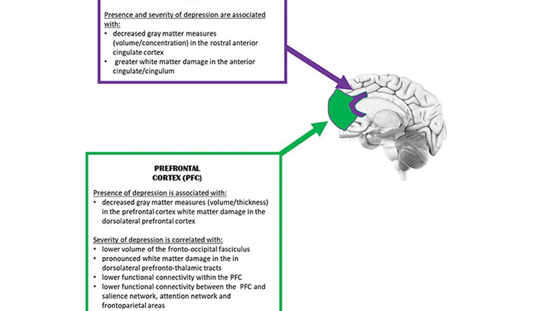 Mood Disorders Following Traumatic Brain Injury