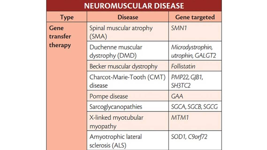 Genetically Targeted Therapies for Inherited Neuromuscular Disorders