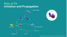 Role of FX Propagation