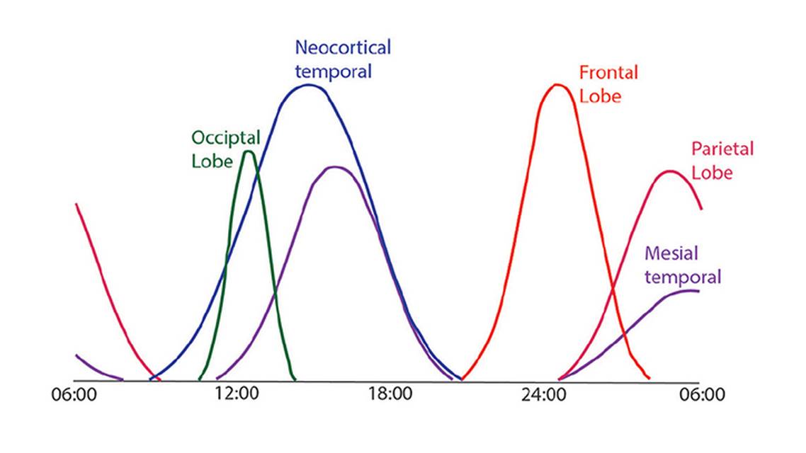 Epilepsy Essentials Chronobiology of Epilepsy