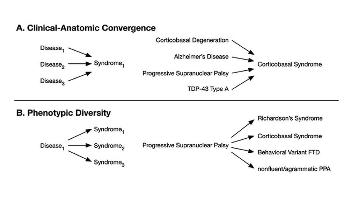 A Precision Medicine Approach to Dementia Care Syndrome Etiology and Copathology