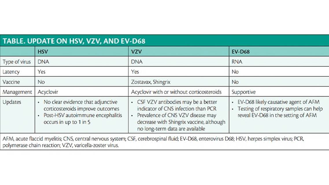 Viral Infections of the Central Nervous System An Update on Herpes Simplex Virus Varicella Zoster Virus and Enterovirus D6