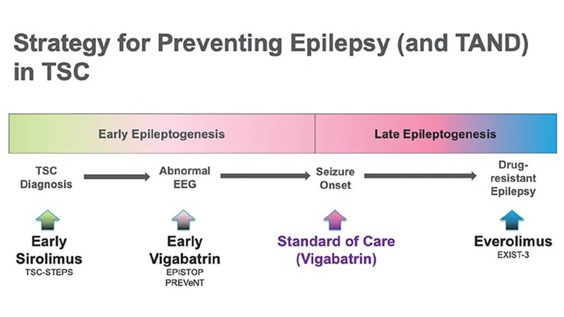 Epilepsy Essentials The Current and Future Landscape of Tuberous Sclerosis Complex Diagnosis and Treatment