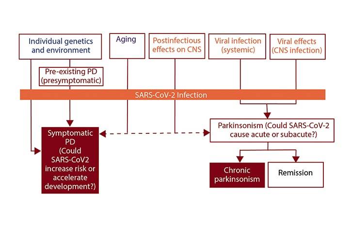 Movement Disorders Moment Parkinson Disease in the COVID 19 Era