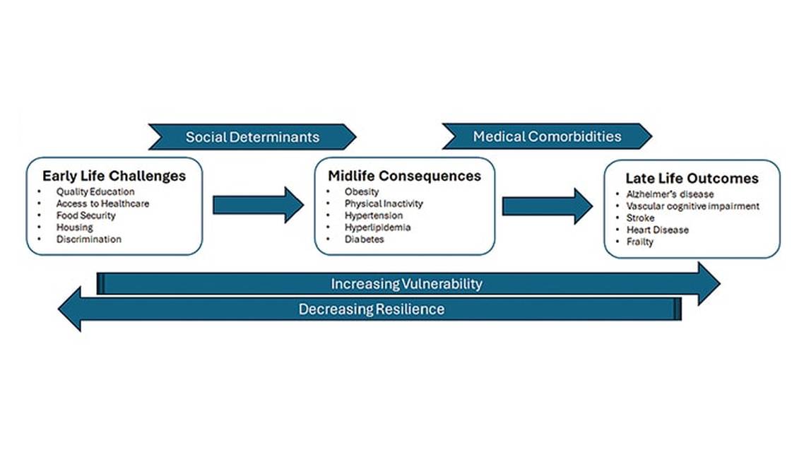 Understanding Disparities Associated with Alzheimer Disease and Related Dementias