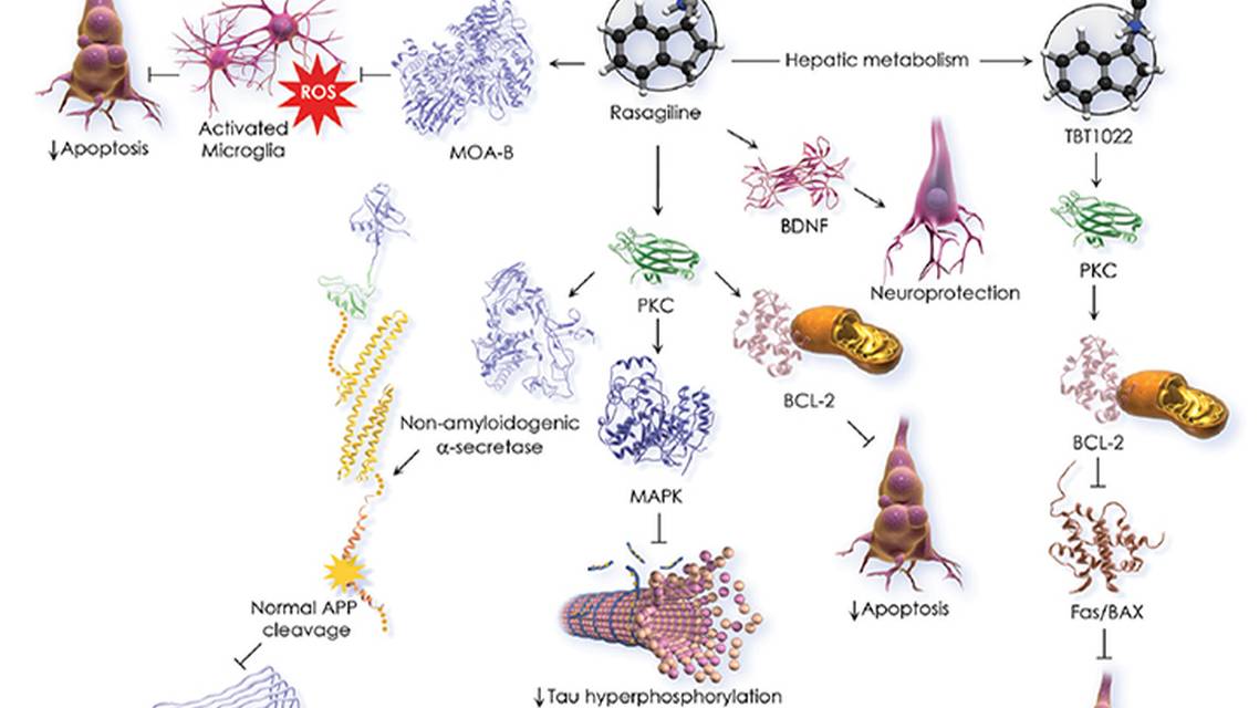 Novel Treatments for Alzheimer Disease Disorders