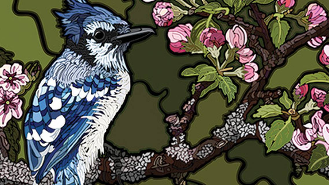 Headache Horizons Recognition Diagnosis and Treatment of Hypnic Headache