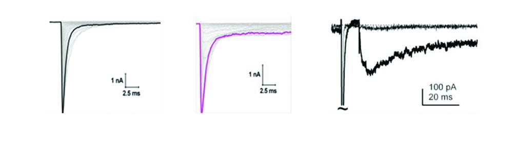 Figure 1 from PN1125CF1Sankar