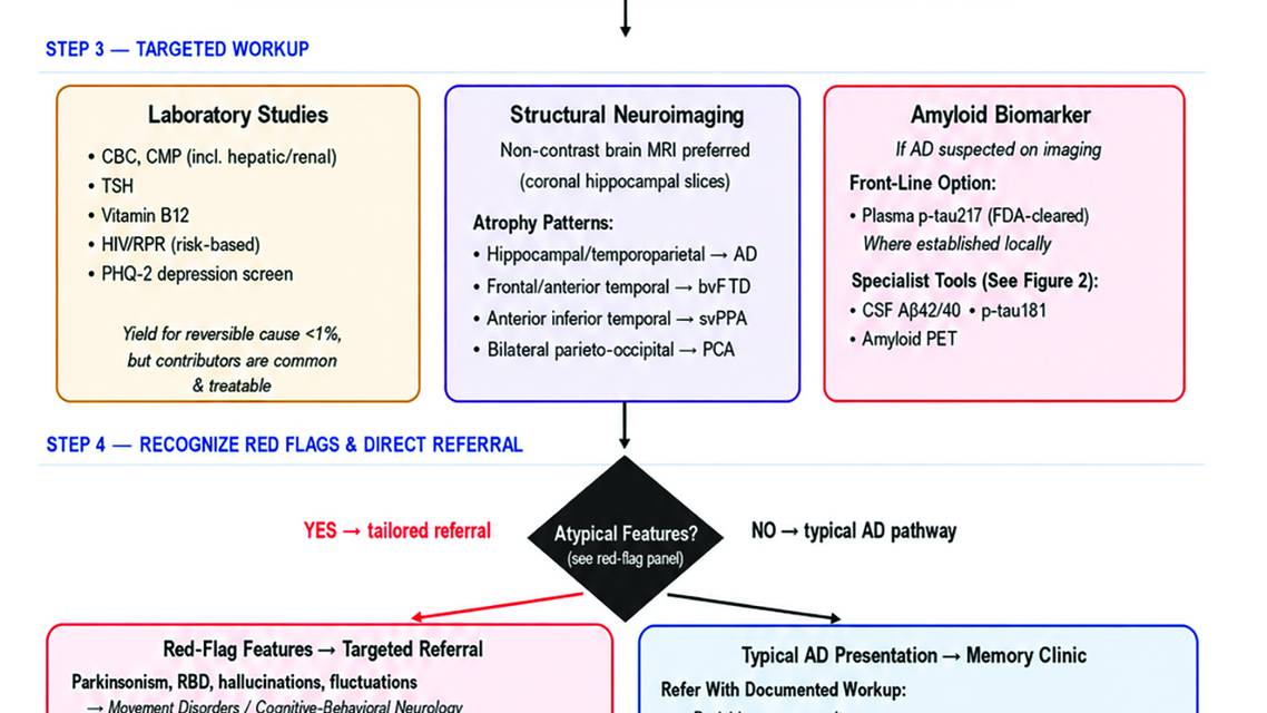 Figure 1 from Hakim and Shulz depicting a frontline clinical decision pathway diagram