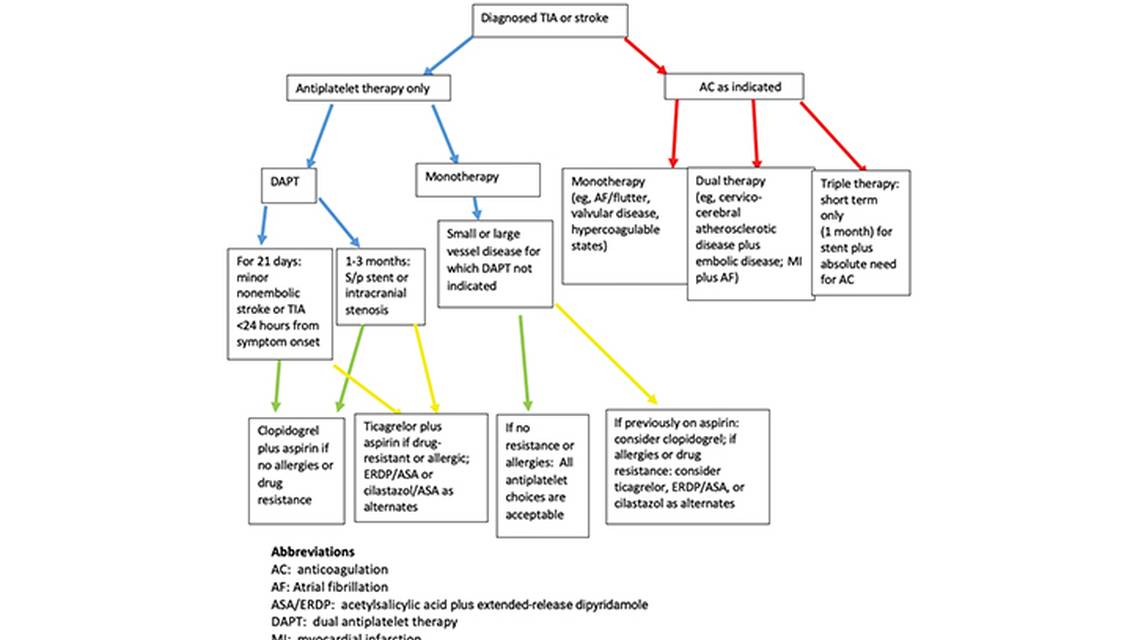 Difficulties in Antithrombotic Choices in Prevention of Stroke Recurrence Combination Antiplatelet and Anticoagulant Therapi