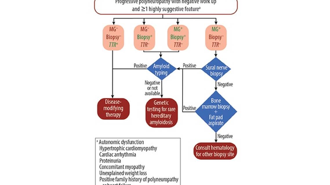 Neuromuscular Amyloidosis