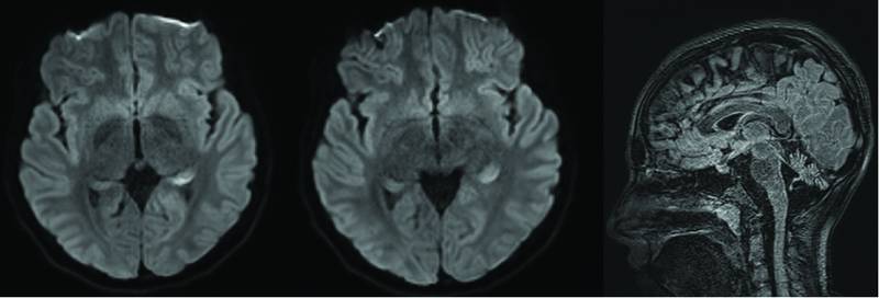 Maranto et al Figure 3