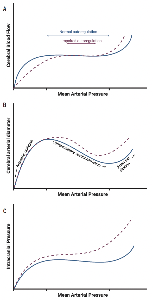Tbi Pao2 Graph ICU Care for Severe Traumatic Brain Injury