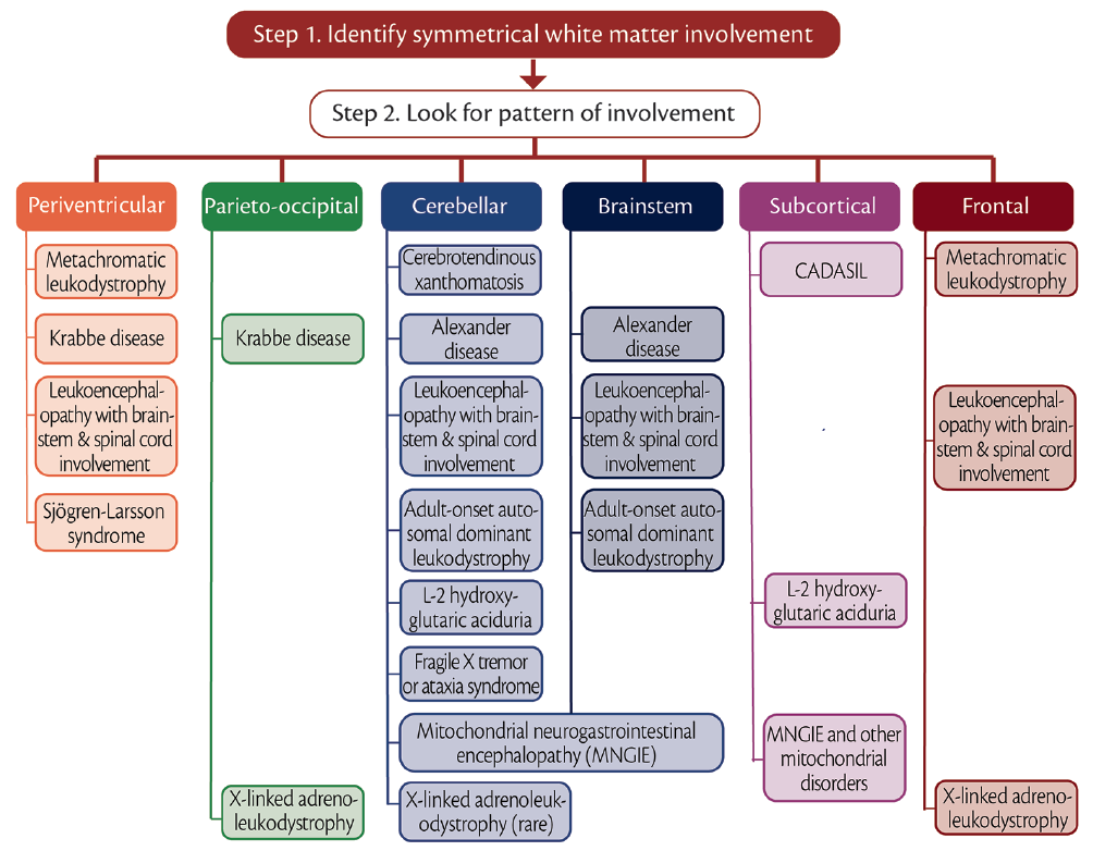 Case Reports: Mitochondrial Neurogastrointestinal Encephalop