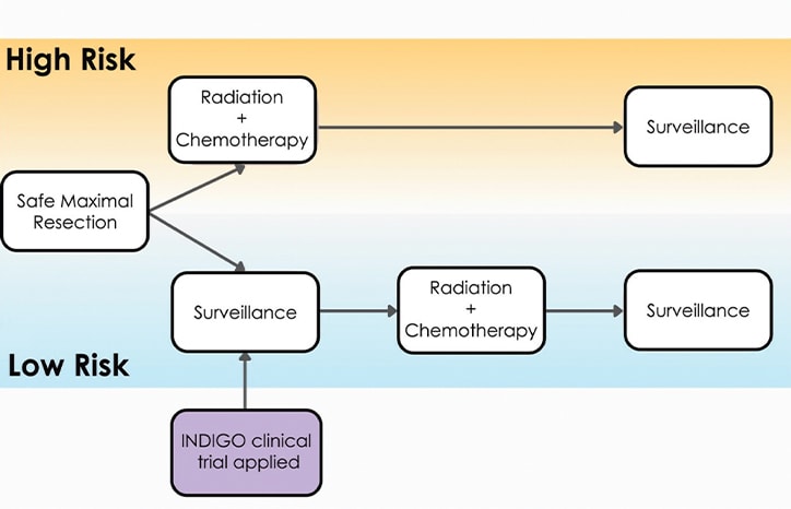 Neuro-Oncology Outlook: Advancements in Targeted Molecular T