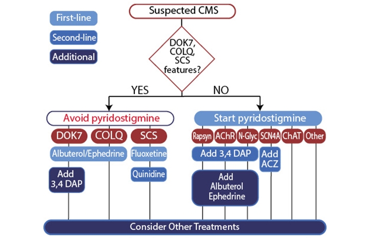 Congenital Myasthenic Syndrome Treatment